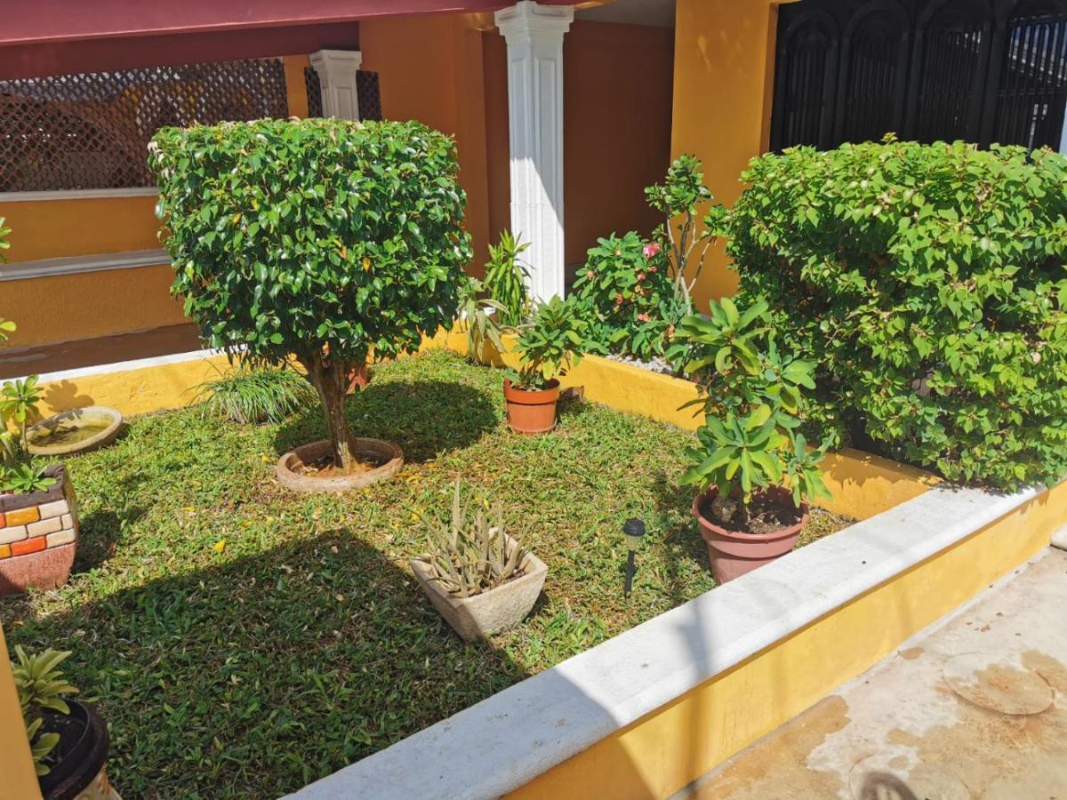 Villa Casa Balfré à Mérida Extérieur photo
